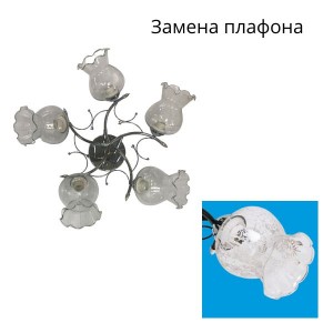 Потолочный светильник 2074LM/5_новый плафон купить оптом в ЭкономСвет